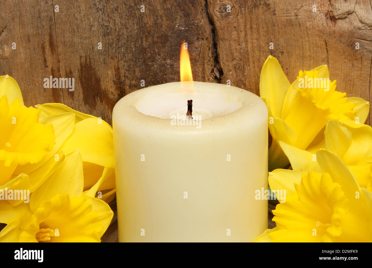 Nahaufnahme einer brennenden Kerze, umgeben von Narzisse Blumen gegen einen Hintergrund der alten verwitterten Holz Stockfoto