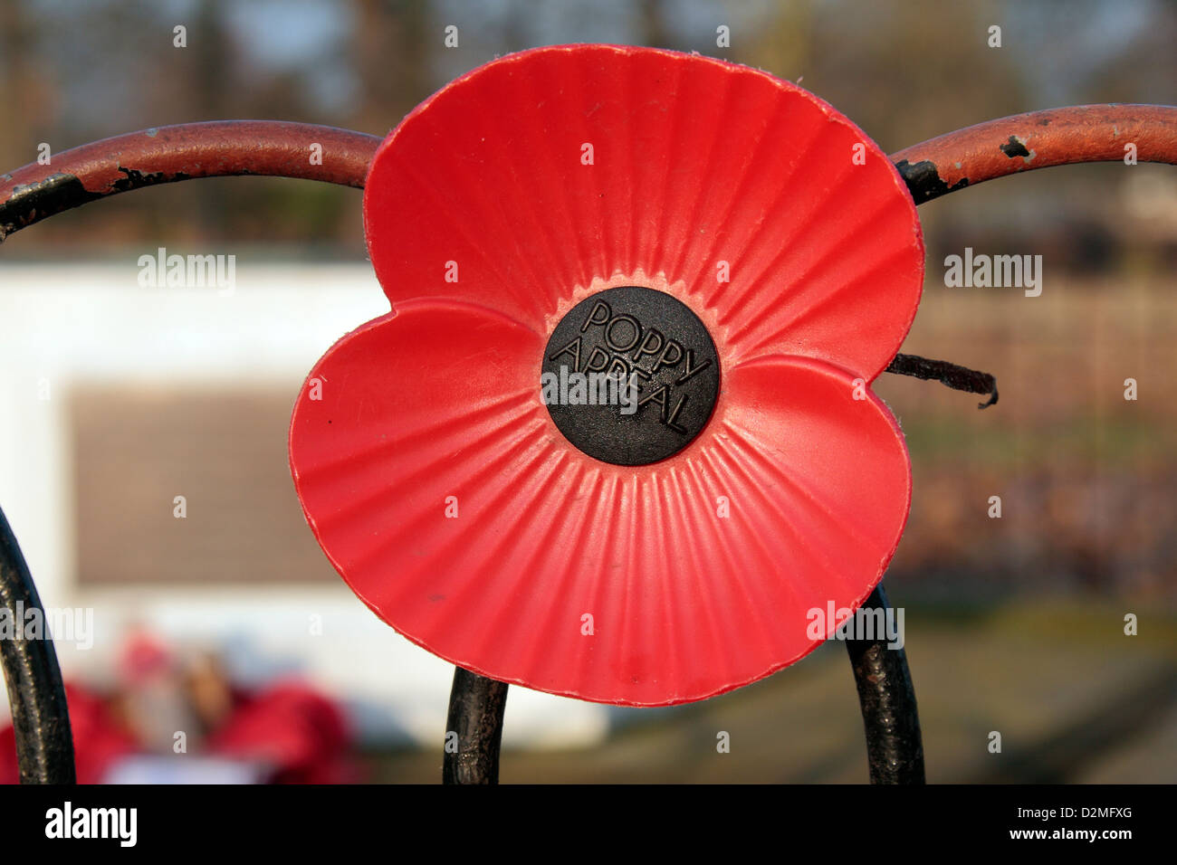 Eine große Mohnblume auf dem United States Army Air Forces WWII Denkmal in Bushy Park, West-London, UK. Stockfoto