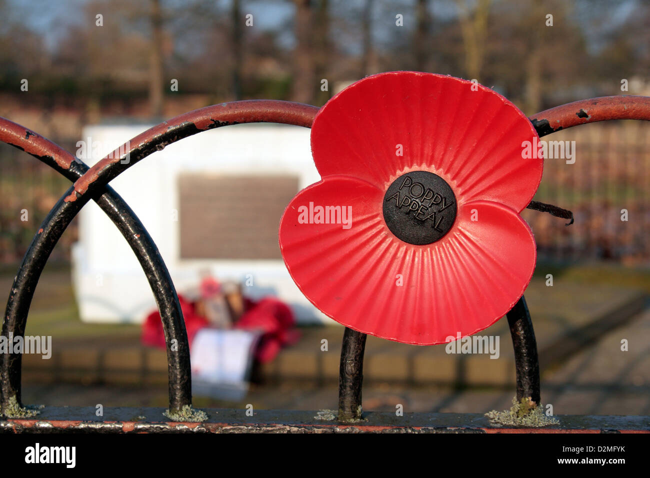 Eine große Mohnblume auf dem United States Army Air Forces WWII Denkmal in Bushy Park, West-London, UK. Stockfoto