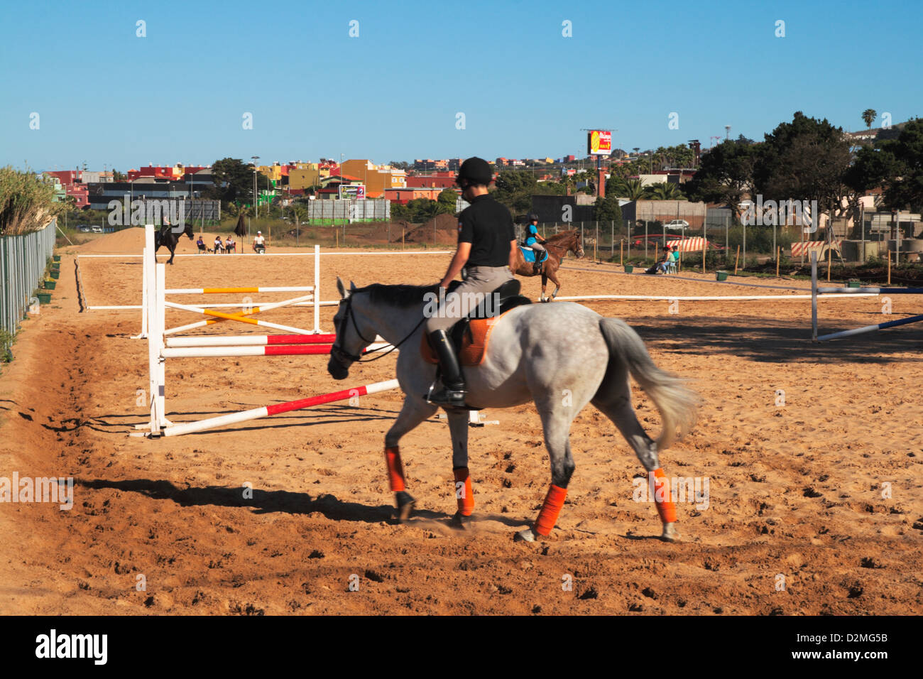 Trainingsstunden im Pferdesport Stockfoto