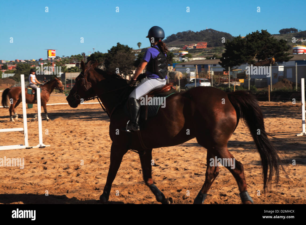 Trainingsstunden im Pferdesport Stockfoto