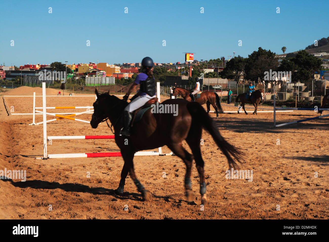 Trainingsstunden im Pferdesport Stockfoto