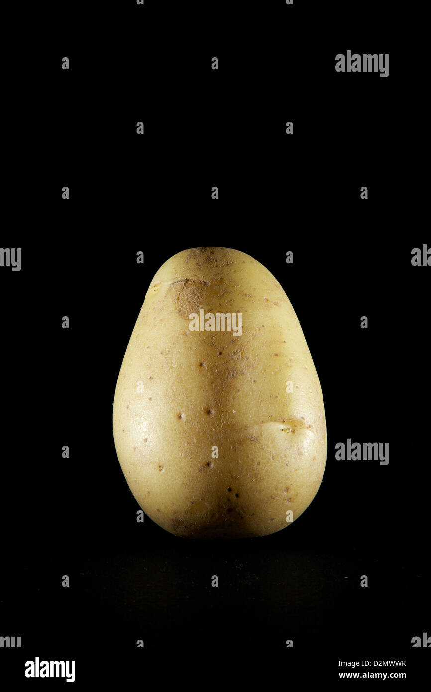 Eine Kartoffel auf einem schwarzen Hintergrund Stockfoto
