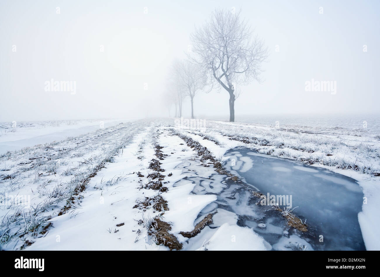 gefrorene Pfütze und nebligen kalten Wintermorgen Stockfoto