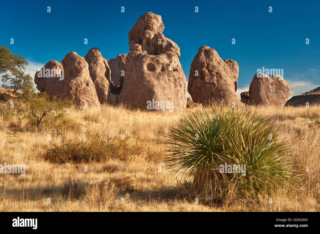Vulkanische Felsformationen an Stadt des Rocks State Park, Mimbres Tal, Chihuahua-Wüste, New Mexico, USA Stockfoto