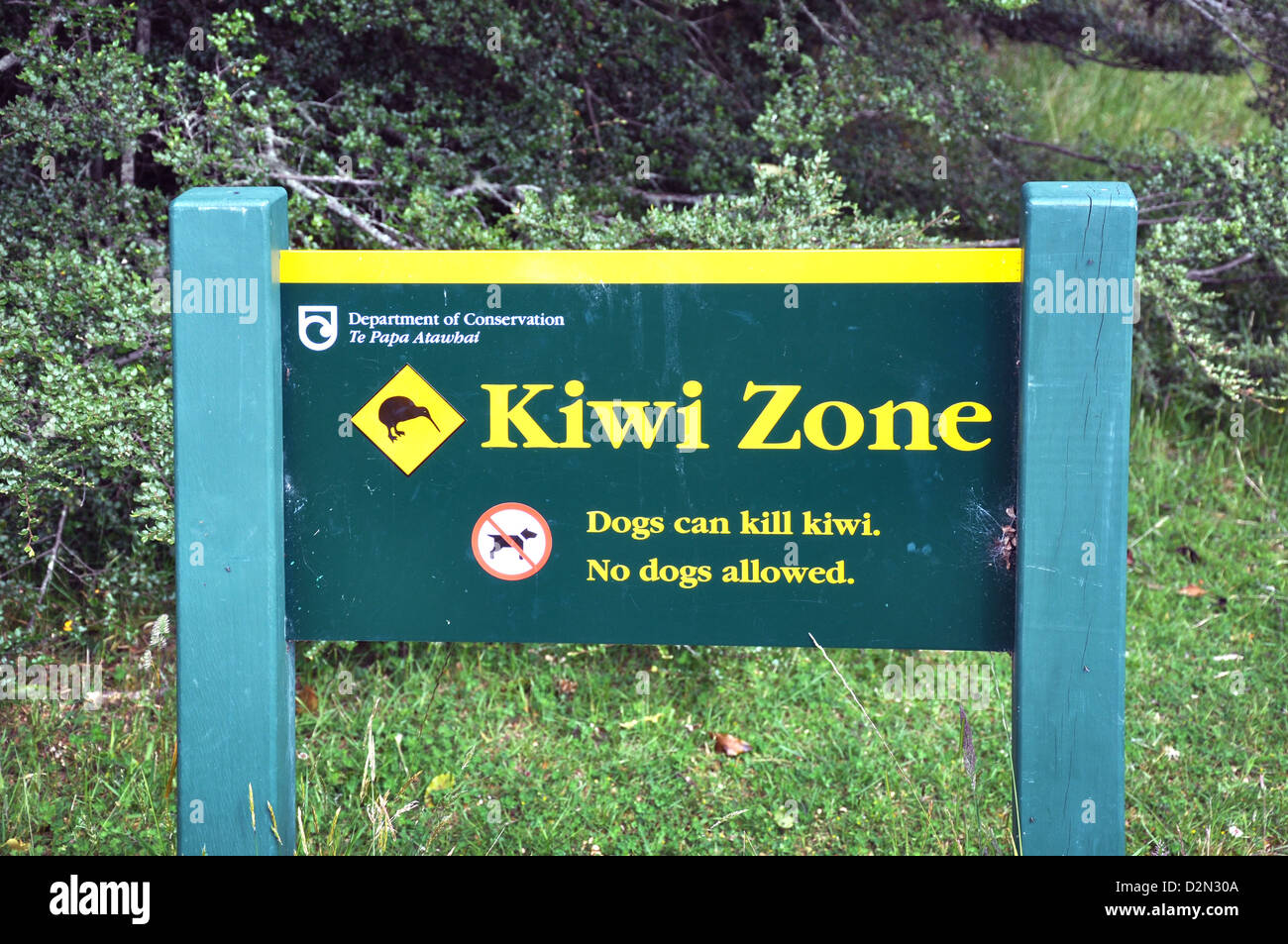 Kiwi-Zone Vorsicht Zeichen aus der Abteilung der Erhaltung, keine Hunde erlaubt - Südinsel, Neuseeland Stockfoto