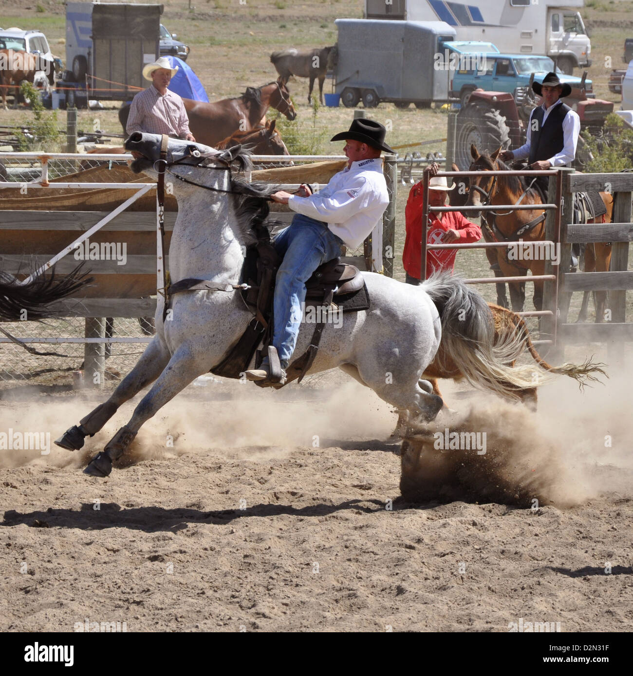 Unruhiges Wildpferd, wild reiten während eines Rodeo-Wettbewerbs Stockfoto