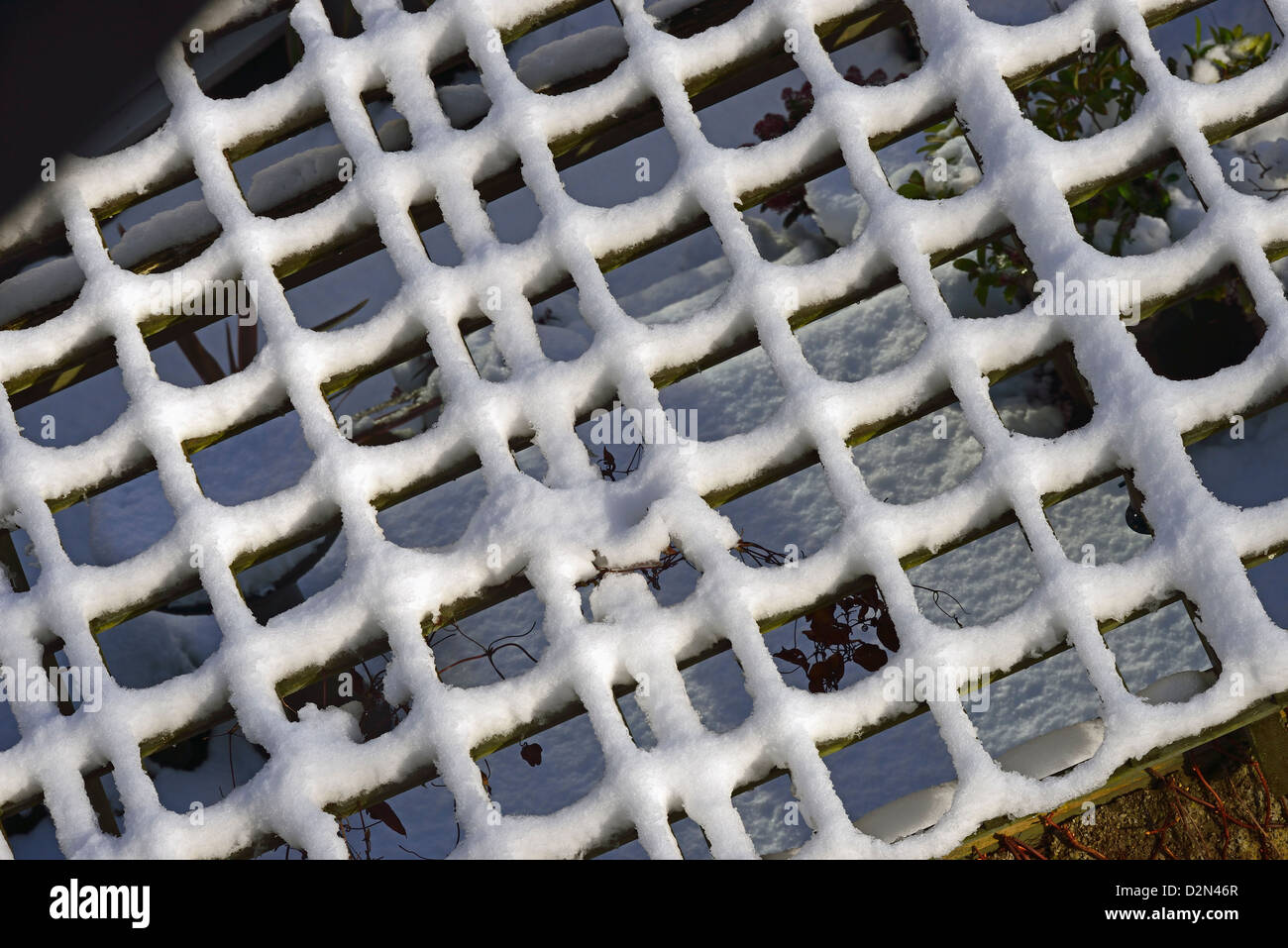 Schnee-Gitterwerk. Schneebedeckte Garten Spalier. Tier Banken, Kendal, Cumbria, England, Vereinigtes Königreich, Europa. Stockfoto