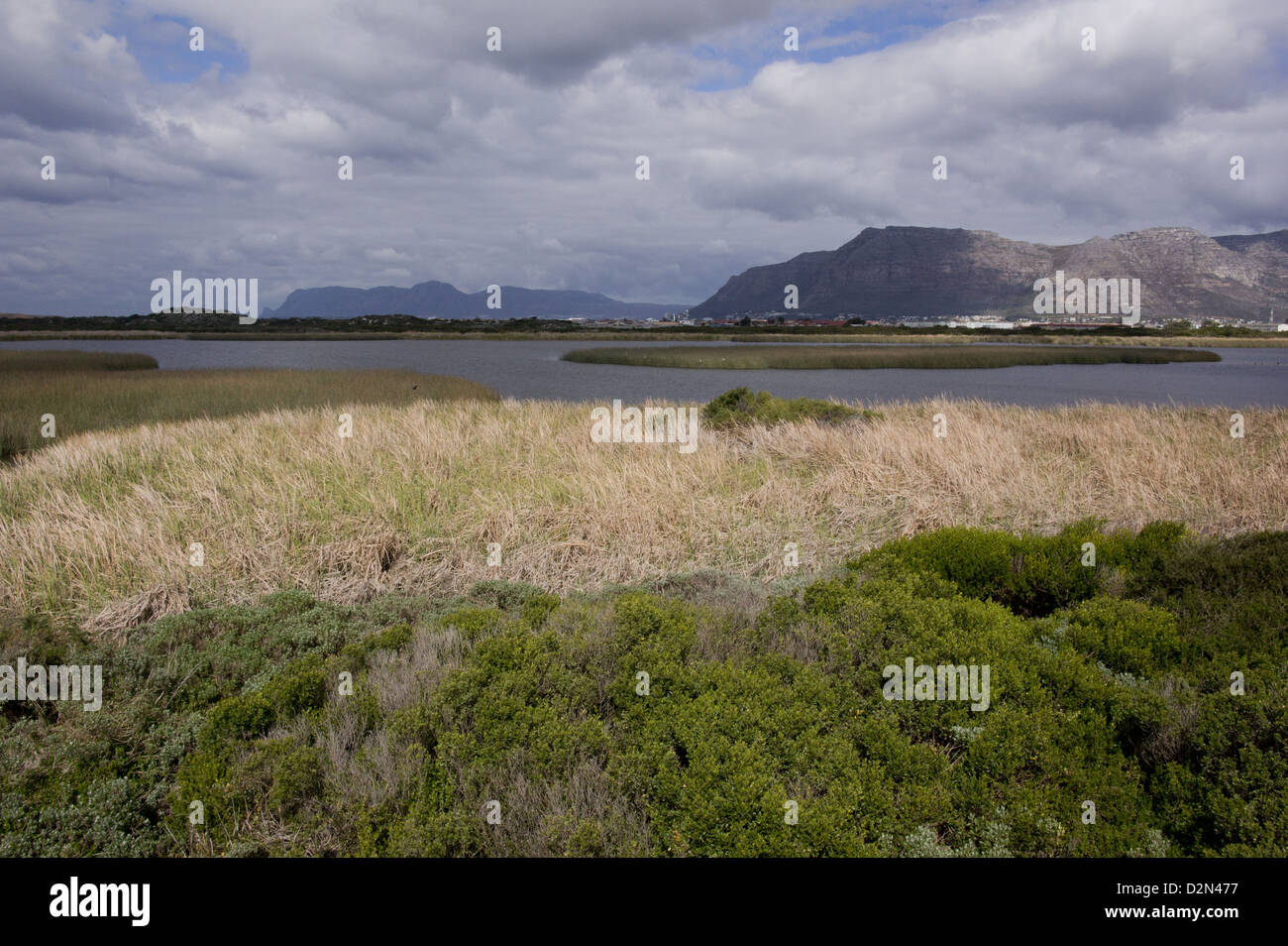 Rondevlei Naturschutzgebiet, eine wichtige Vogel-Website, auf der Cape Flats, Cape Town, Südafrika Stockfoto
