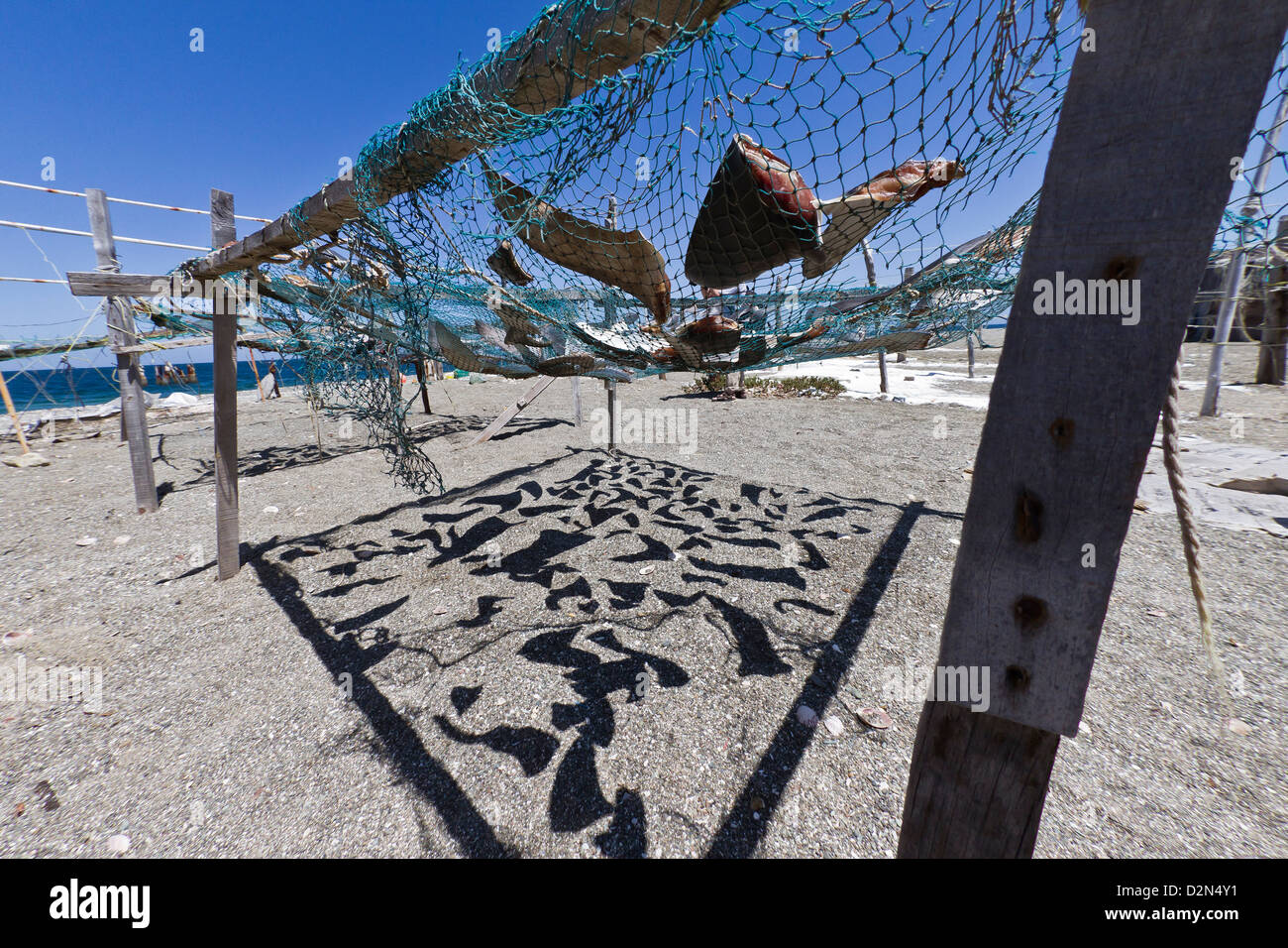 Haifischflossen trocknen in der Sonne, Golf von Kalifornien (Sea of Cortez), Baja California Sur, Mexiko, Nordamerika Stockfoto