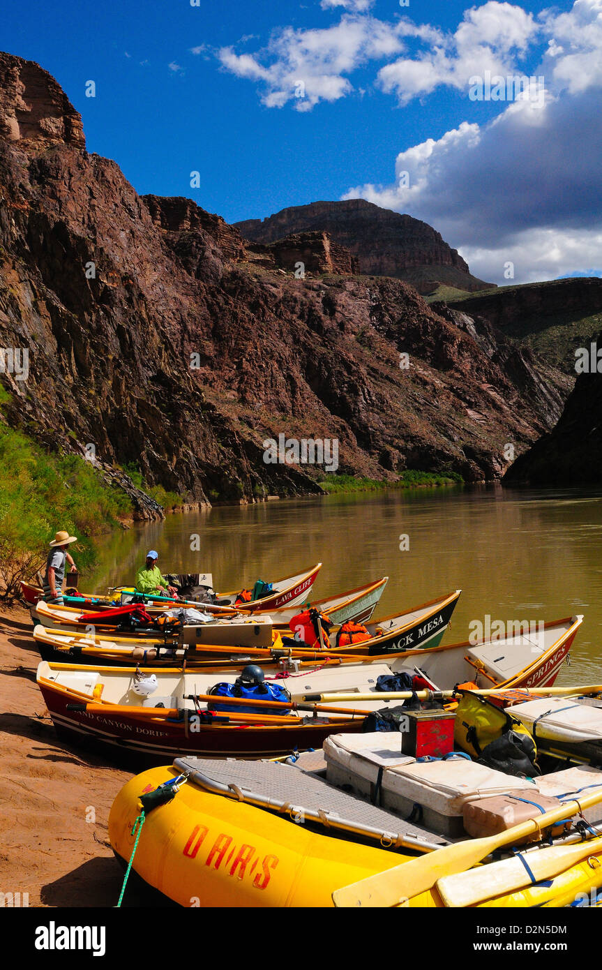 Dory vertäut entlang dem Kolorado Fluß, Colorado, Vereinigte Staaten von Amerika, Nordamerika Stockfoto