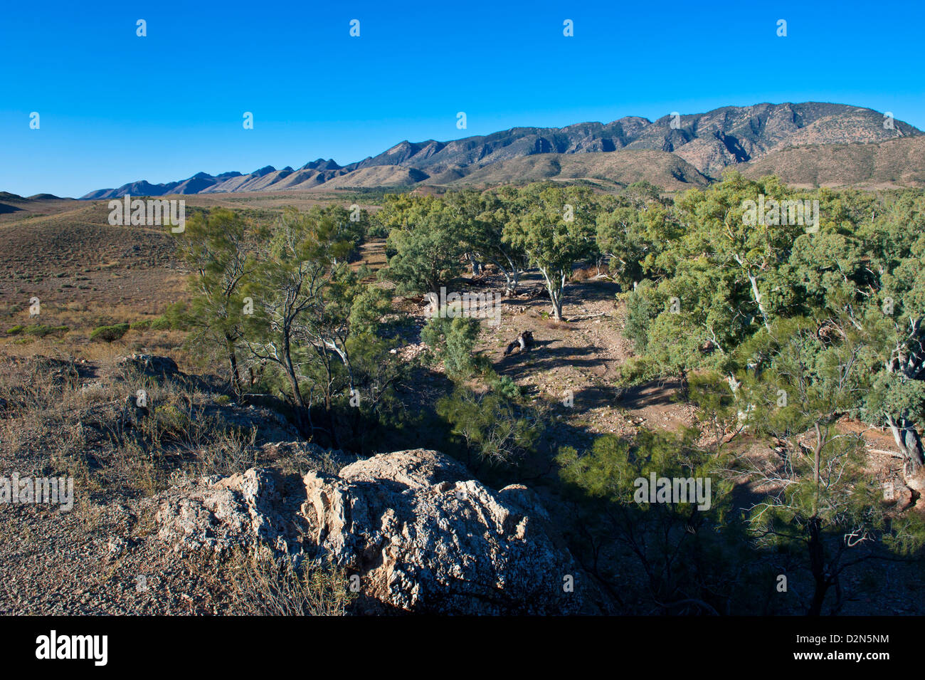 Flinders reicht, Nationalpark, South Australia, Australien, Pazifik Stockfoto