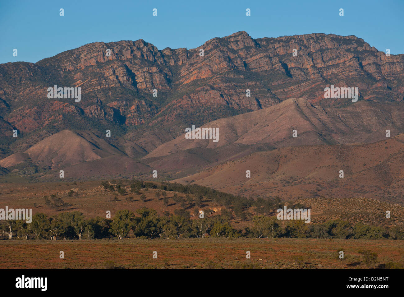 Flinders reicht, Nationalpark, South Australia, Australien, Pazifik Stockfoto
