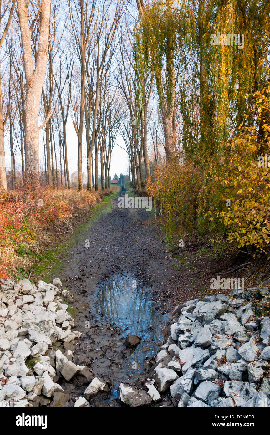 Bett, blau, Bush, Farbbild, Tag, Dürre, trockene, Umwelt, Umweltschutz, erodiert, Wald, Deutschland, Wärme, Wandern Stockfoto