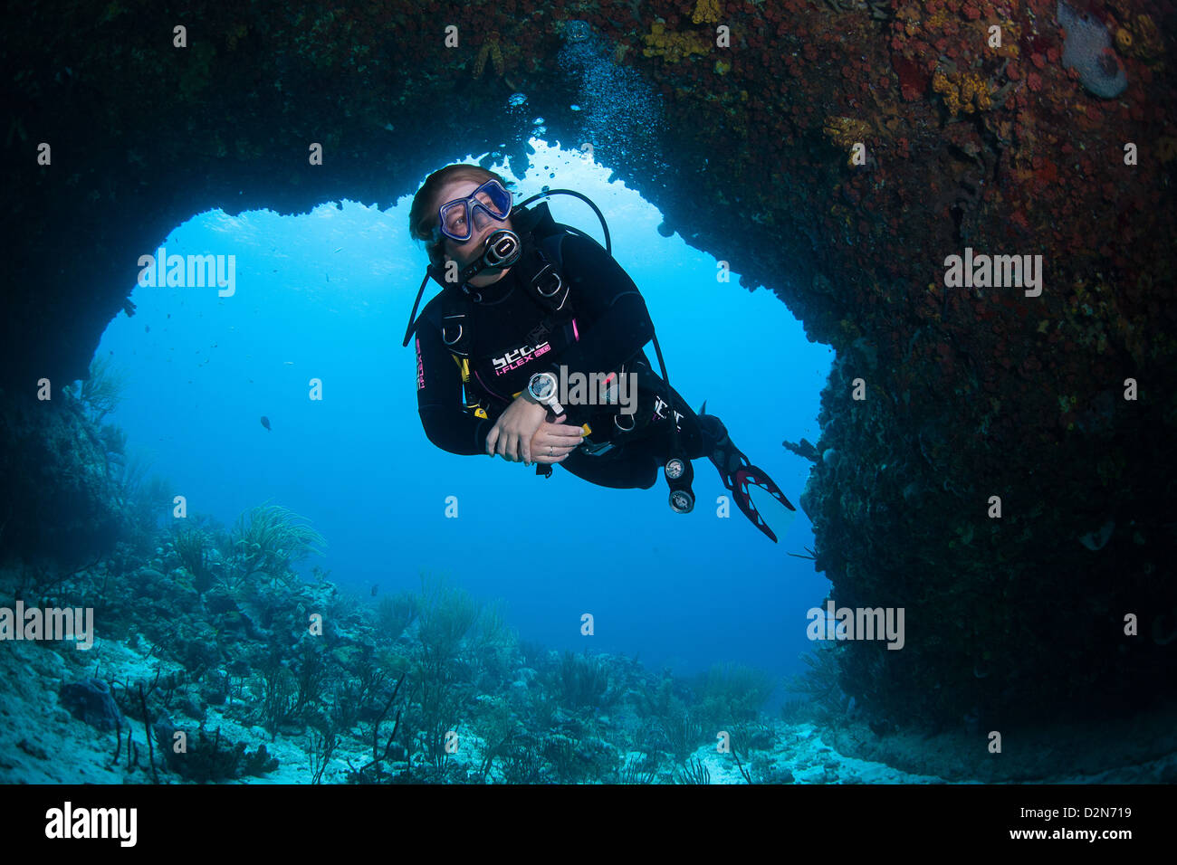 Taucher im kristallklaren Wasser der Karibik auf Curacao Stockfoto