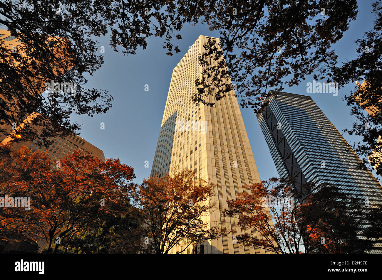 Abendlicht am modernen Büros im Bereich Shinjuku, Tokio. Stockfoto