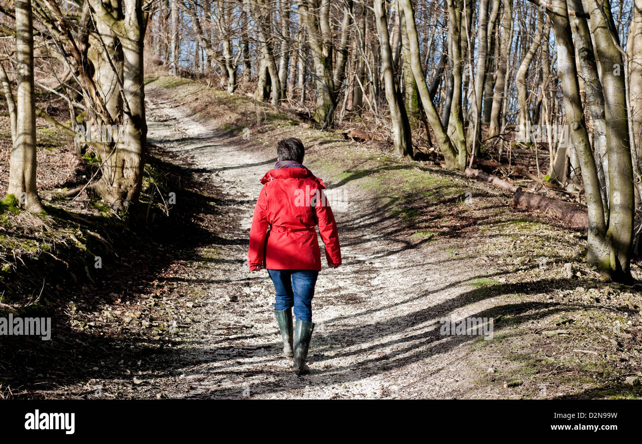 Eine Frau in einem roten Mantel, Blue Jeans und grüne Gummistiefel zu Fuß über einen Pfad, gesäumt von Bäumen im Winter in West Sussex England Stockfoto