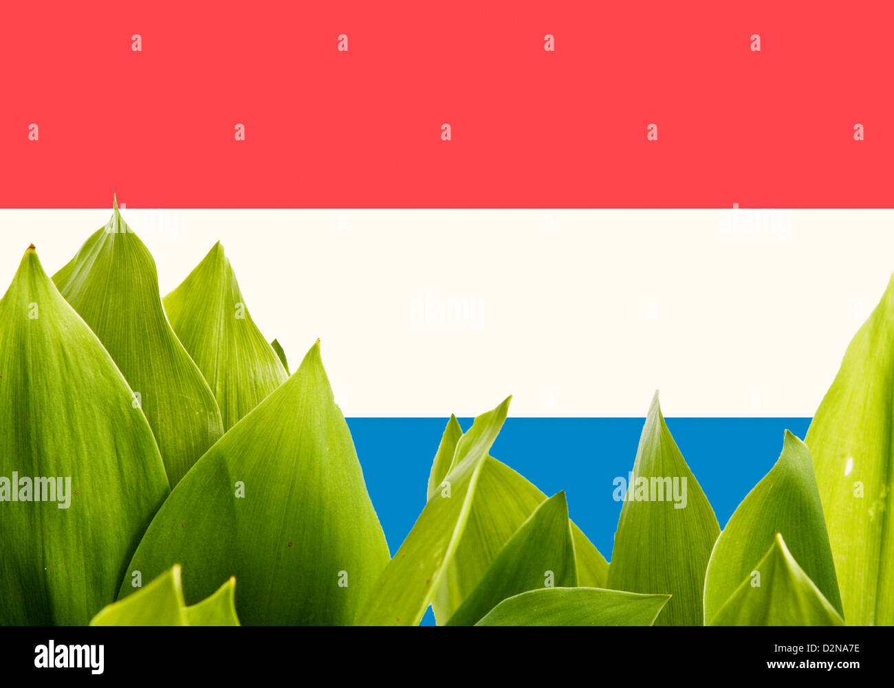 Niederlande Flagge Stockfoto
