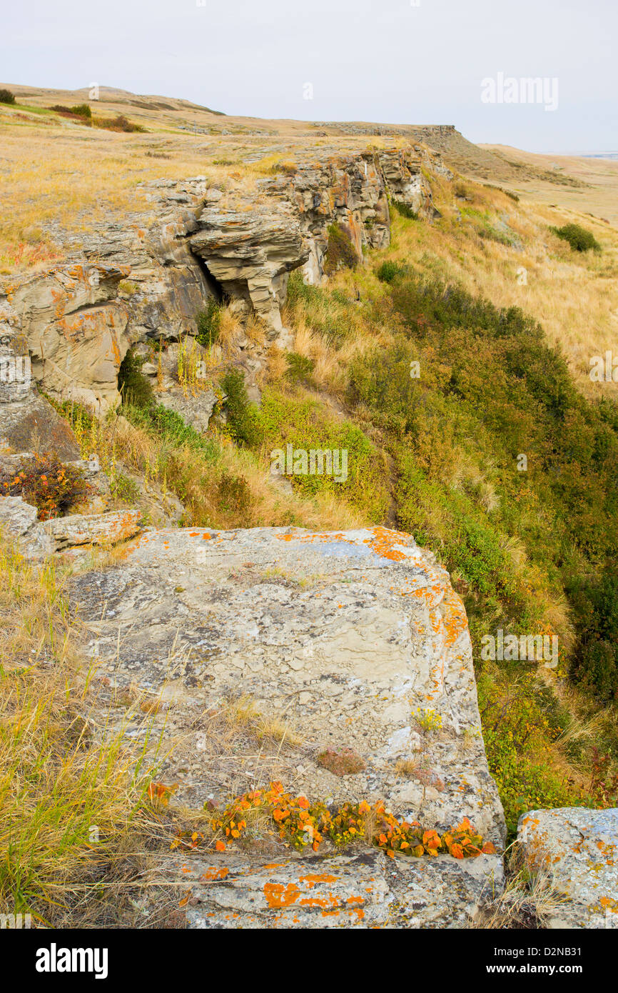 Head-Smashed-In Buffalo Jump zum UNESCO-Weltkulturerbe in der Nähe von Fort Macleod in Alberta, Kanada Stockfoto