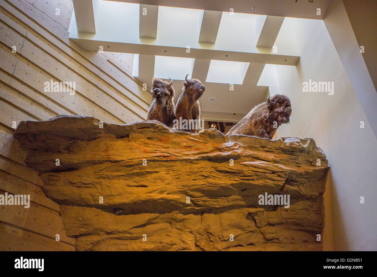 Head-Smashed-In Buffalo Jump zum UNESCO-Weltkulturerbe in der Nähe von Fort Macleod in Alberta, Kanada Stockfoto