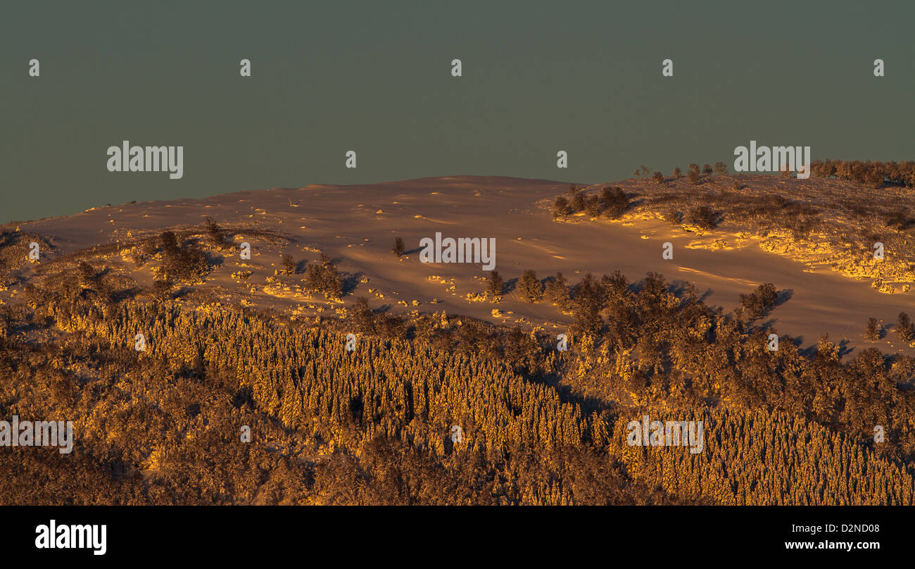 Winter Alpen arktische arktischen Landschaft blaue Himmel Schatten Schatten Schnee Schneewetter Sonnenlicht Sonnenuntergang Baum Bäume üblichen Winter im Feld Nr. Stockfoto