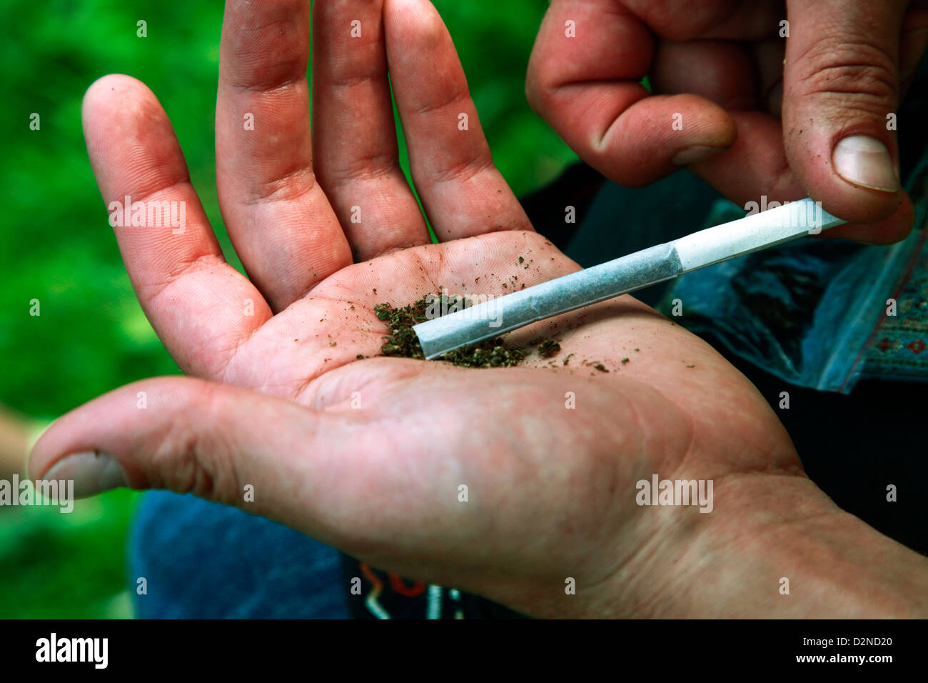 Der Mann macht eine Zigarette mit marihuana Stockfoto
