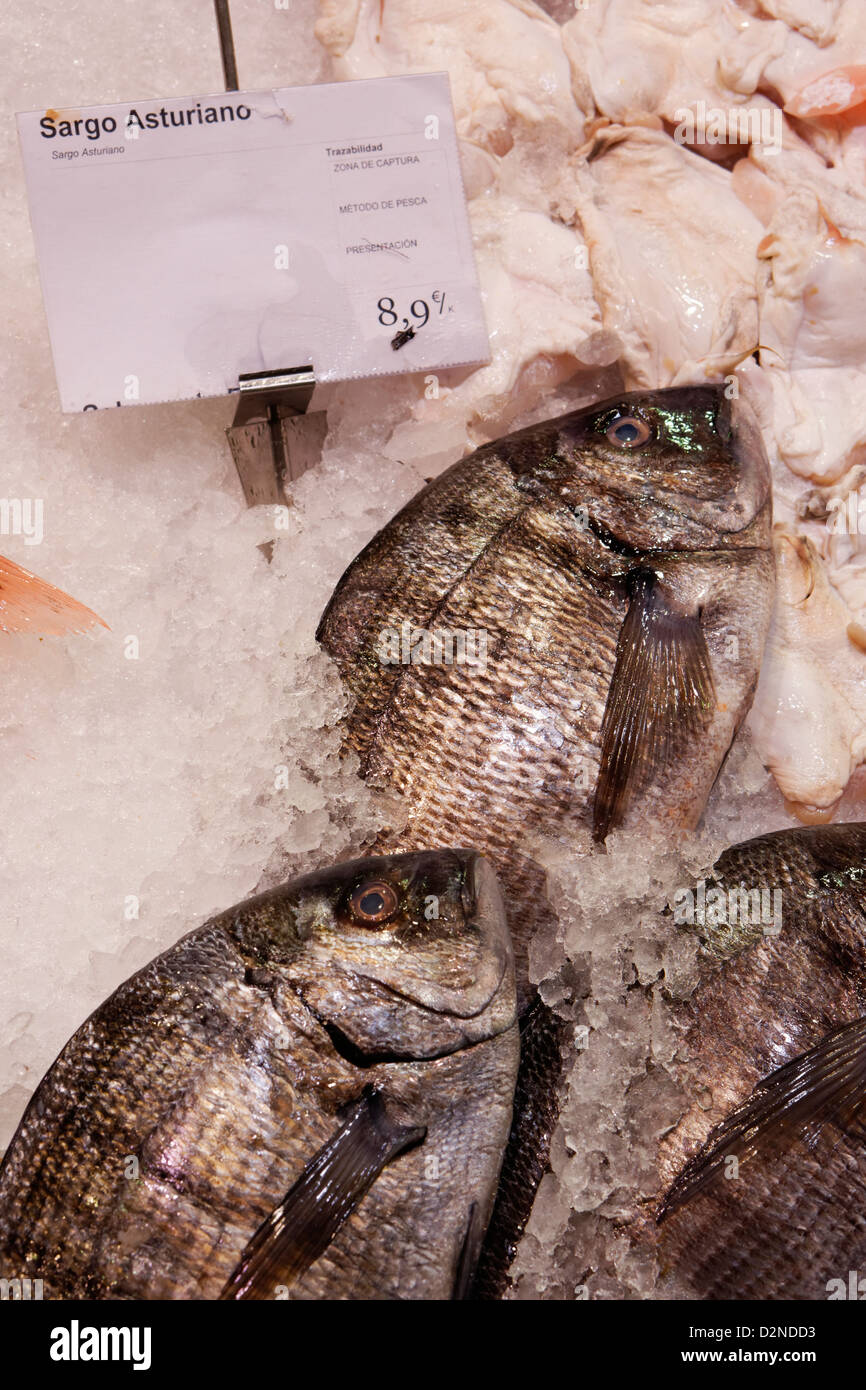 Fischmarkt Chamberí Madrid Spanien frische Meeresfrüchte Eis Stockfoto