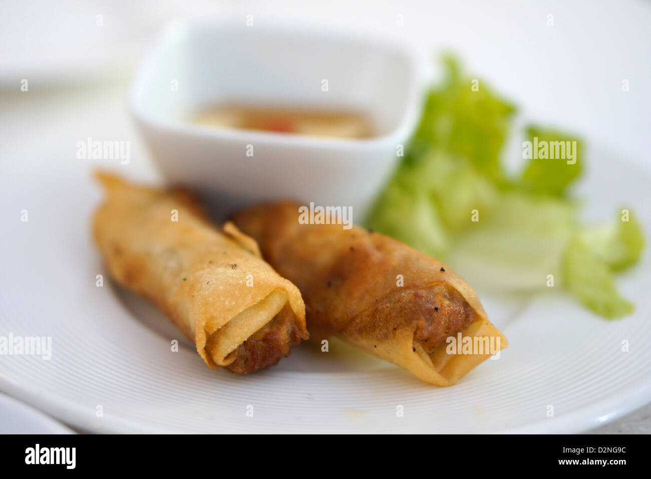 Tapa Frühling Rollen Madrid Spanien Essen Stockfoto