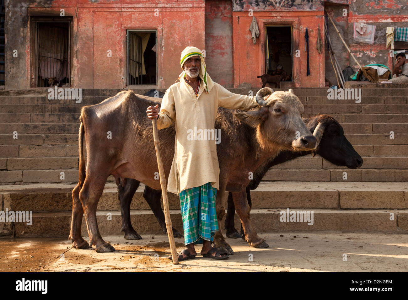 Kuh Herder, Varanasi, Indien Stockfoto