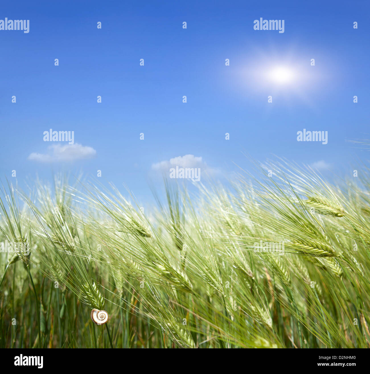 schöne weiße flauschige Wolken am blauen Himmel Stockfoto