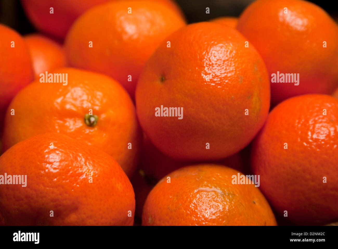 Mandarine Stockfoto