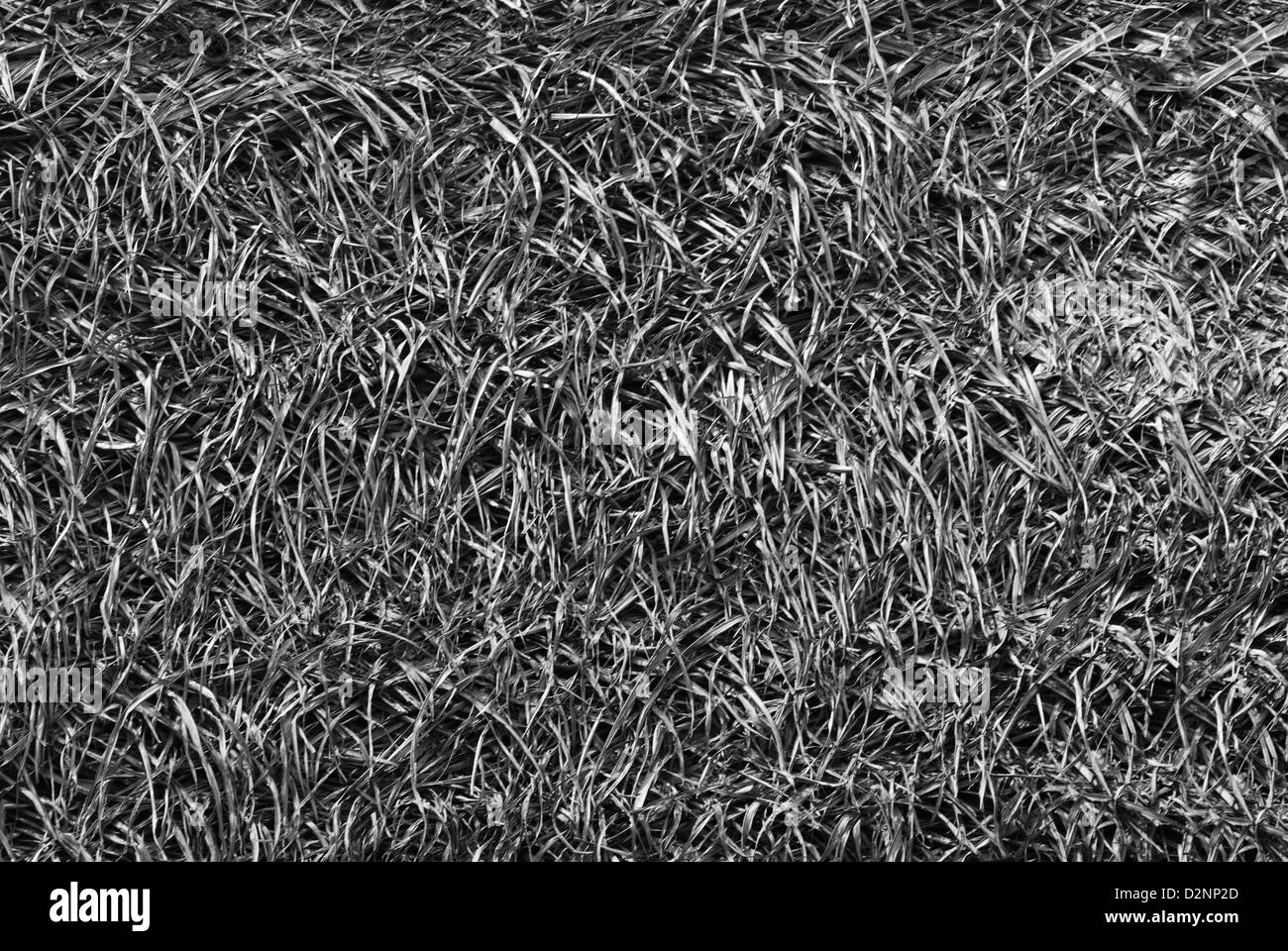 Nahaufnahme der Heuhaufen Stockfoto