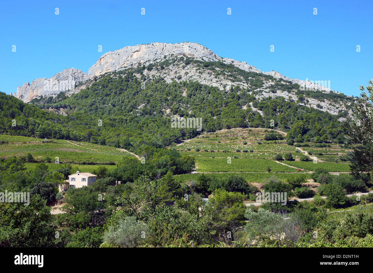 Die Dentelles de Montmirail kleine Kette der Berge Provence Stockfoto