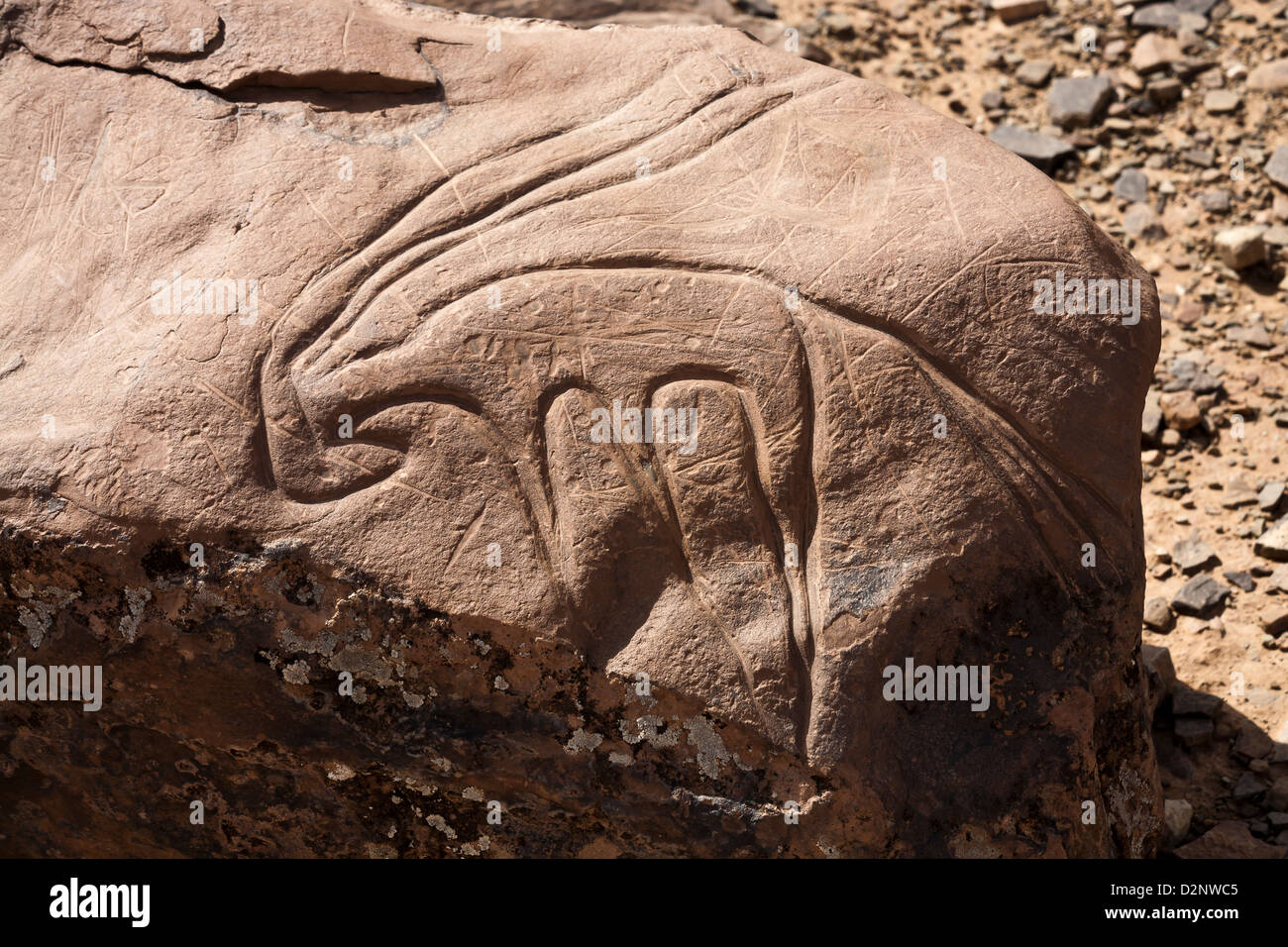 Prähistorische Felsenkunst Ait Ouazik, Marokko, Nordafrika Stockfoto