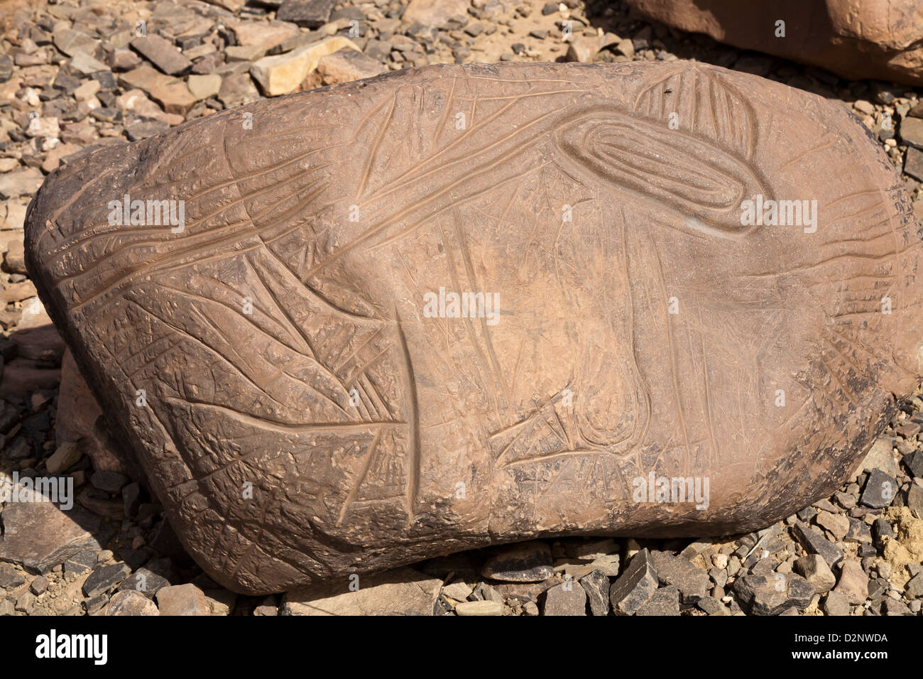 Prähistorische Felsenkunst Ait Ouazik, Marokko, Nordafrika Stockfoto