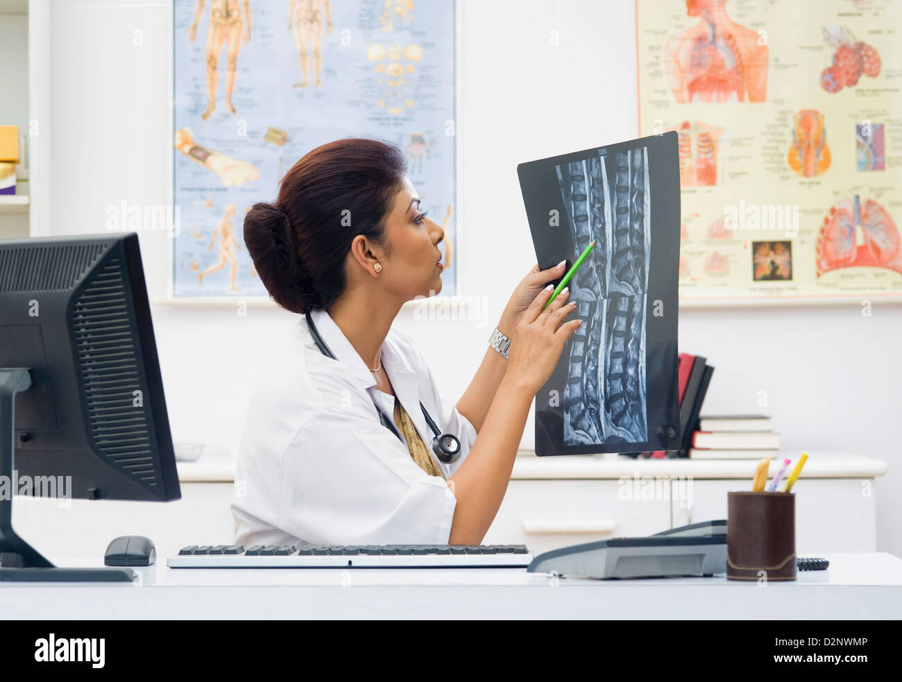 Ärztin untersucht einen Röntgen-Bericht Stockfoto