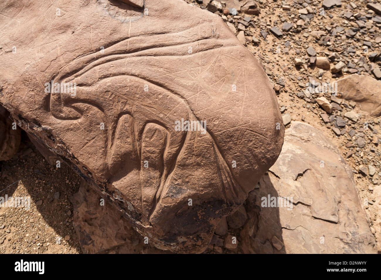 Prähistorische Felsenkunst Ait Ouazik, Marokko, Nordafrika Stockfoto