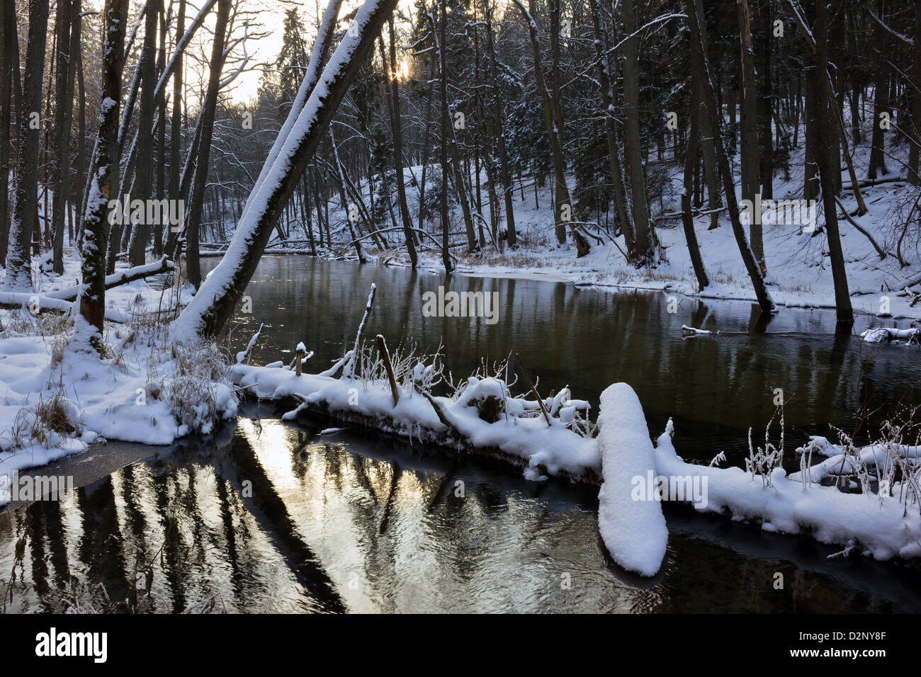 Flusses Lyna im Las klimatisierte Wald Stockfoto