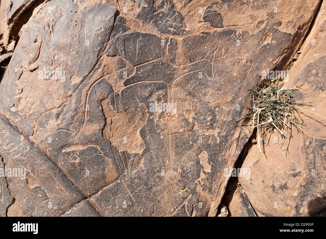 Prähistorische Felsenkunst Ait Ouazik, Marokko, Nordafrika Stockfoto