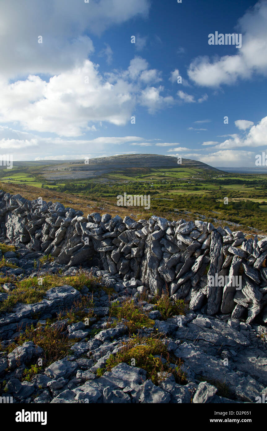 Kalksteinlandschaft in der Nähe von Ailwee, Burren, County Clare, Irland. Stockfoto
