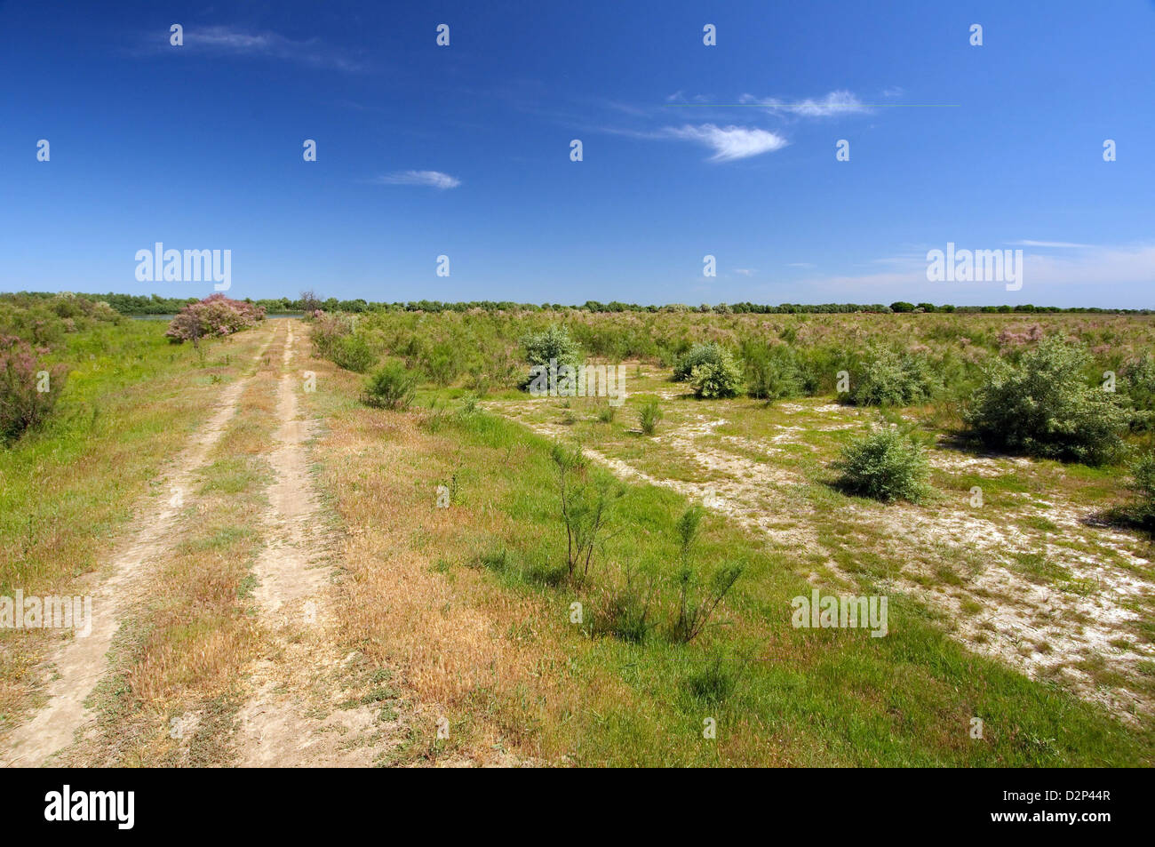 Landschaft auf Yermakov island, Ukraine, Osteuropa Stockfoto