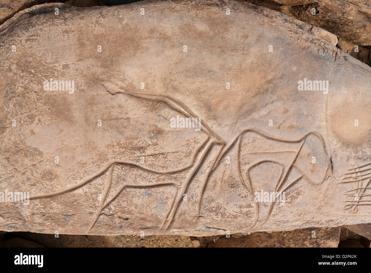 Prähistorische Felsenkunst Ait Ouazik, Marokko, Nordafrika Stockfoto