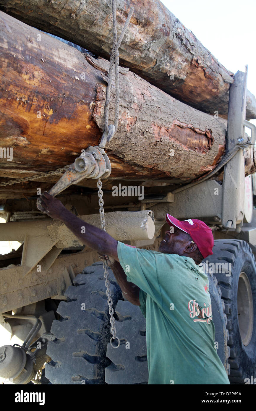 Baumstämme geladen, auf einen LKW in der Logport Logpont Hölzer Rimbunan Hijau (PNG) Limitid in Garim, Madang, Papua New Guinea Stockfoto