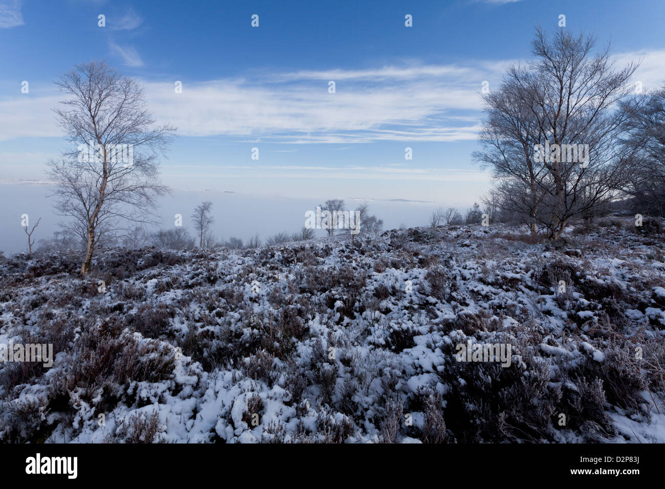 Winter in den Yorkshire Dales. Schnee. Frost, Raureif Birken, Nebel, blauer Himmel, Heather, Bracken, Wolke Inversion, Landschaft Stockfoto