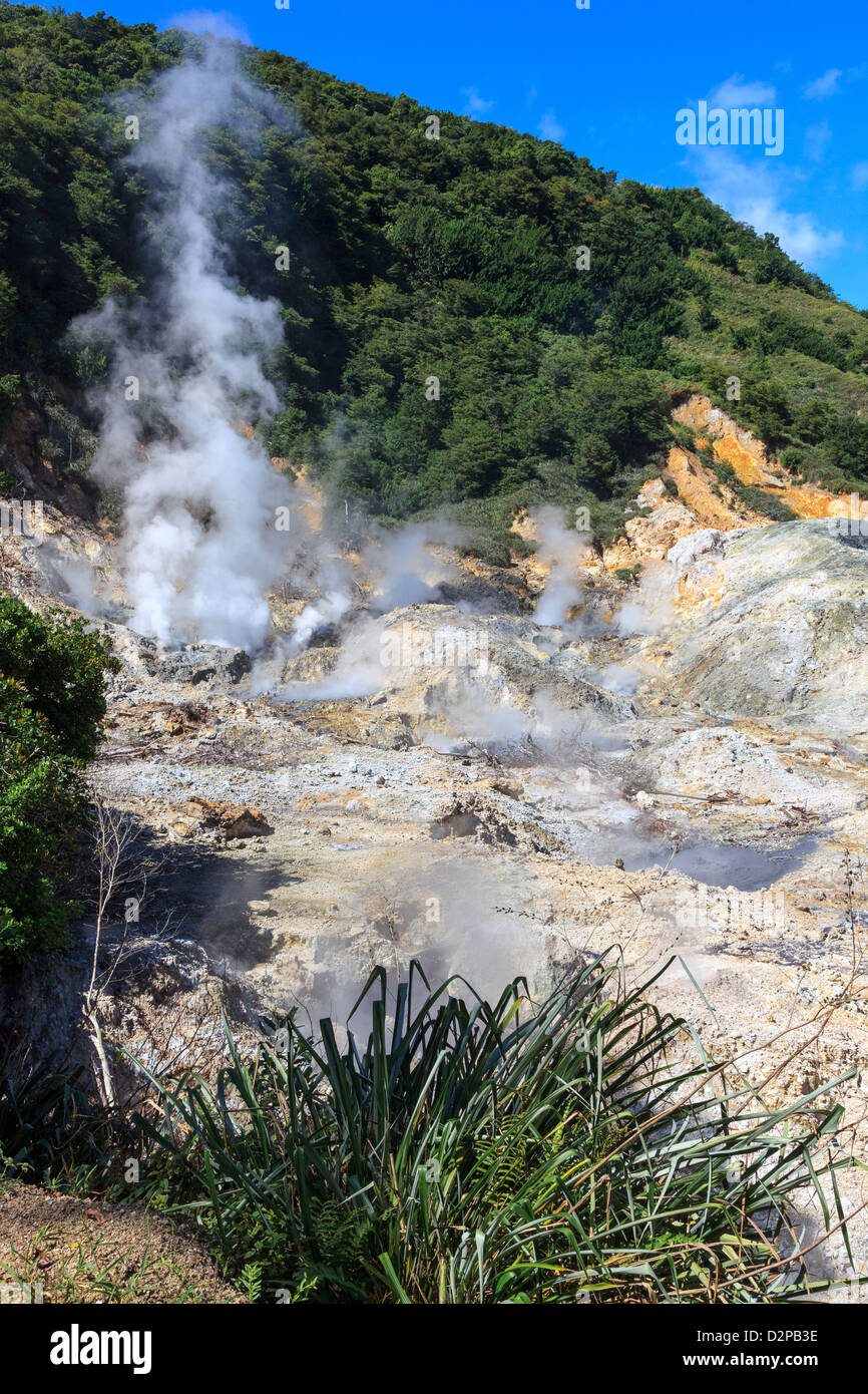 Schwefelquellen in Soufriere St Lucia Stockfoto