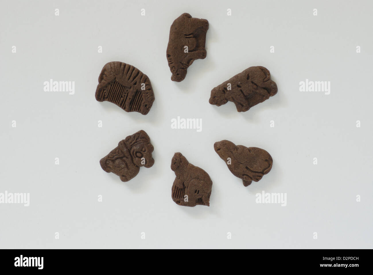 Animal förmige Schokoladenkekse auf weißem Hintergrund mit Schatten, Zebra, Rino, Bär, Dichtung, Känguru, Kioala geformt Stockfoto