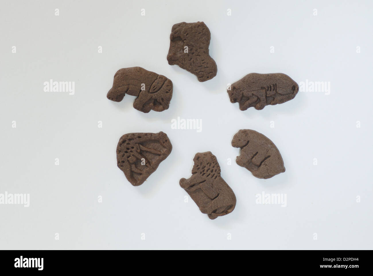 Animal förmige Schokoladenkekse auf weißem Hintergrund mit Schatten, Elefant, Lamm, Cougar, Bären, Löwen, Giraffen Formen Stockfoto
