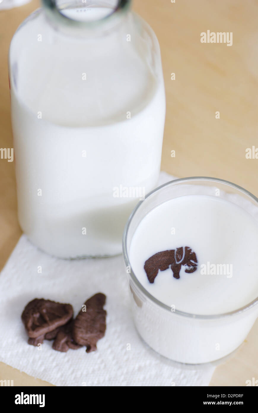 Schokolade Tier geformte Plätzchen mit Flasche und Glas Kühe Milch vertikale Ansicht von oben mit Elefanten Cookie schwebend in Milch Stockfoto