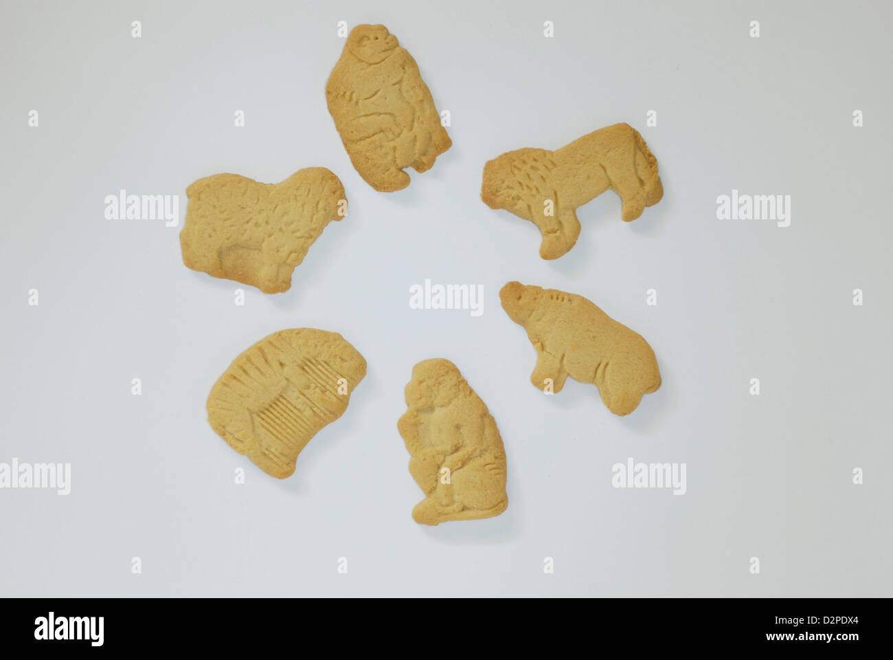 Animal Crackers auf weißem Hintergrund, Lamm, Gorilla, Löwen, Zebras, Affen und Rino geformt Stockfoto