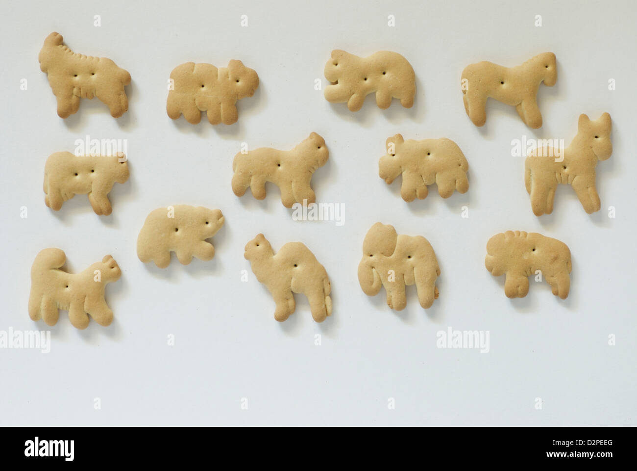 Animal Crackers angeordnet auf einem weißen Hintergrund Stockfoto